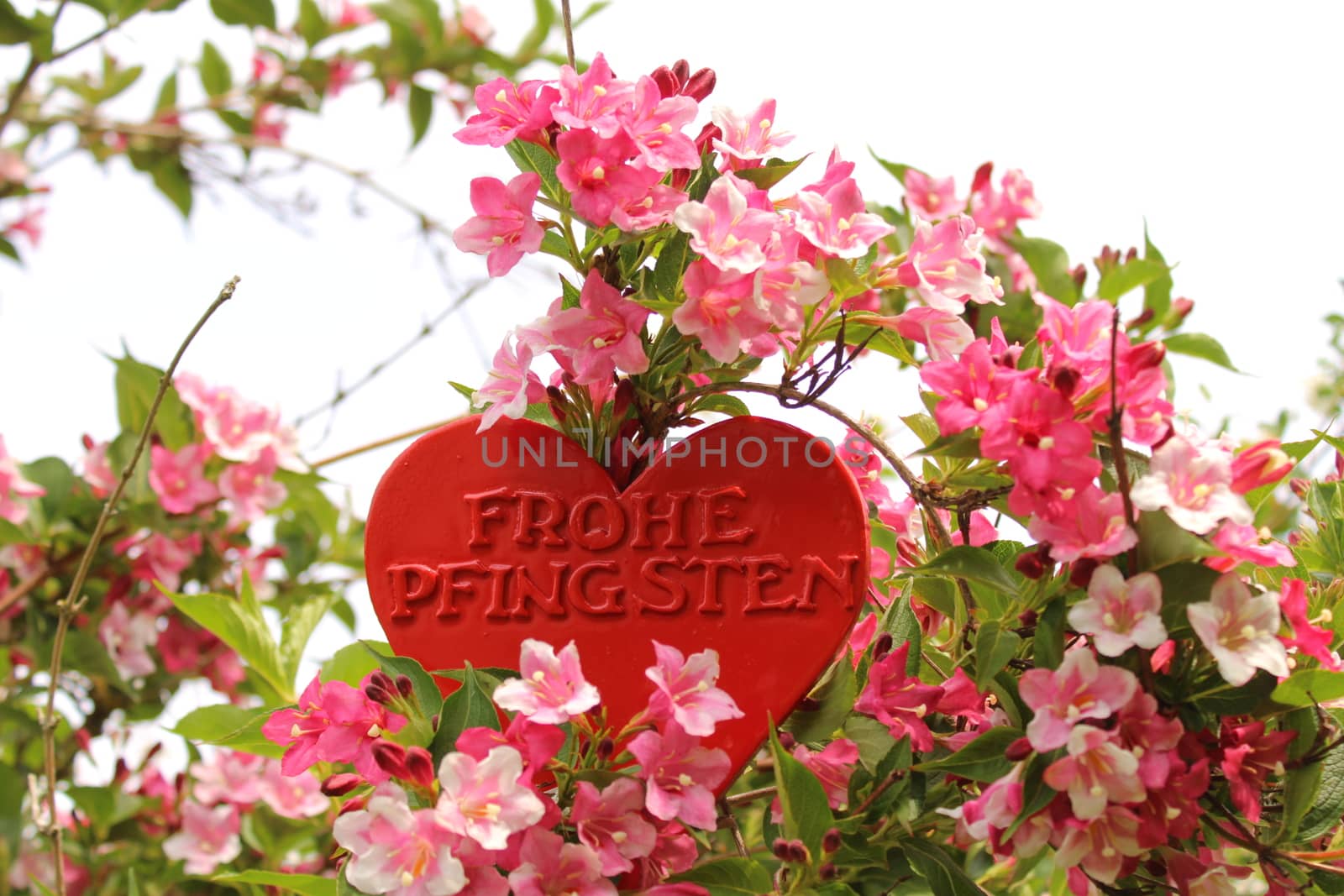 The picture shows a heart with the german text happy pentecost in the weigela.