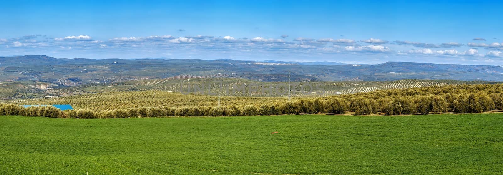 landscape in spring in province of Jaen, Spain