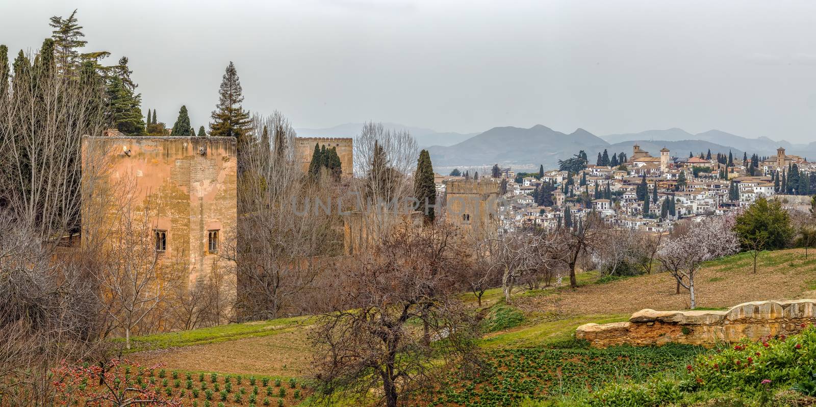 view of Alhambra wall and Granada, Spain by borisb17