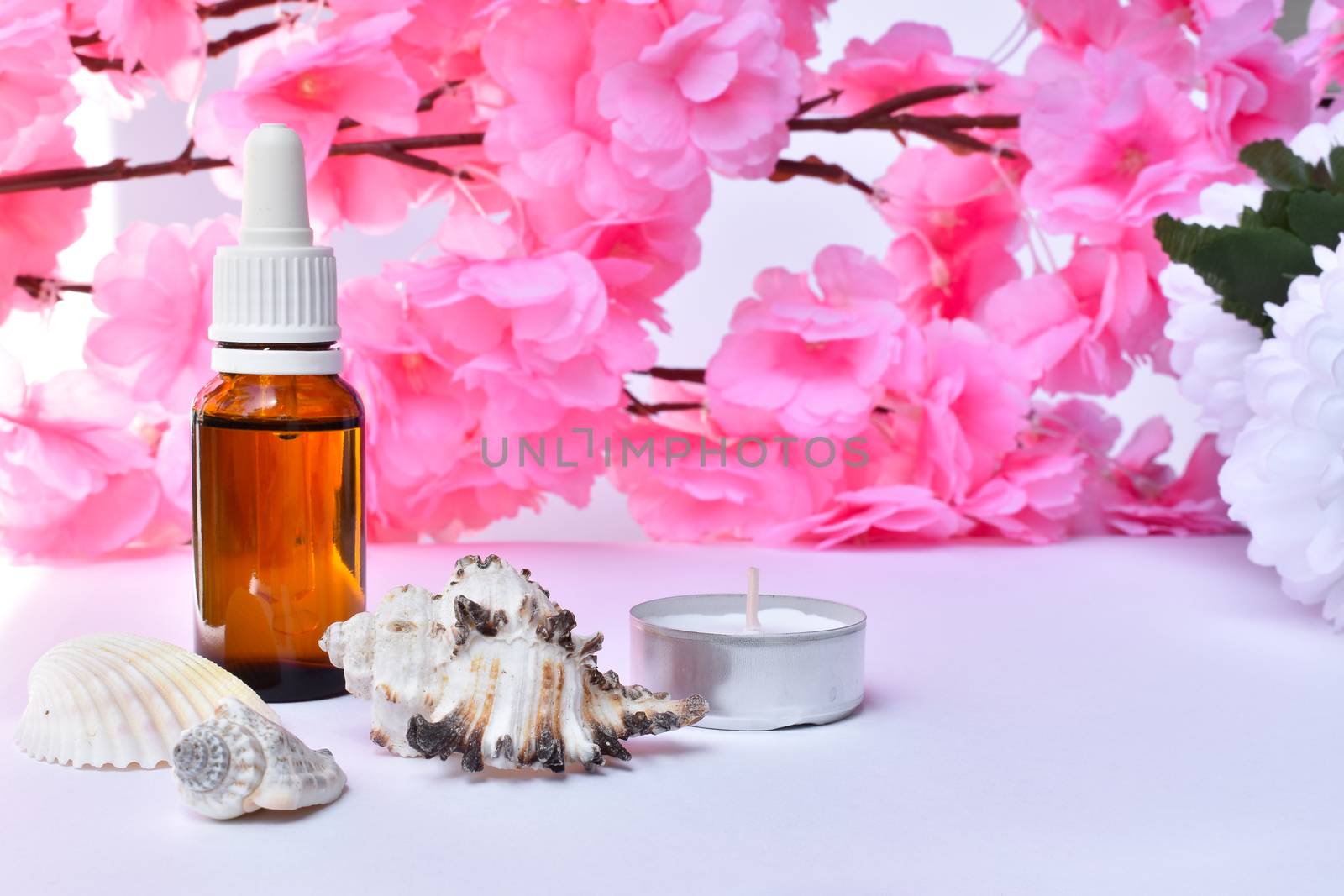 Floral argan oil background. The bottle behind pink sakura flowers, in front of it sea snail shells and small tealight scented candles in metal frame.
