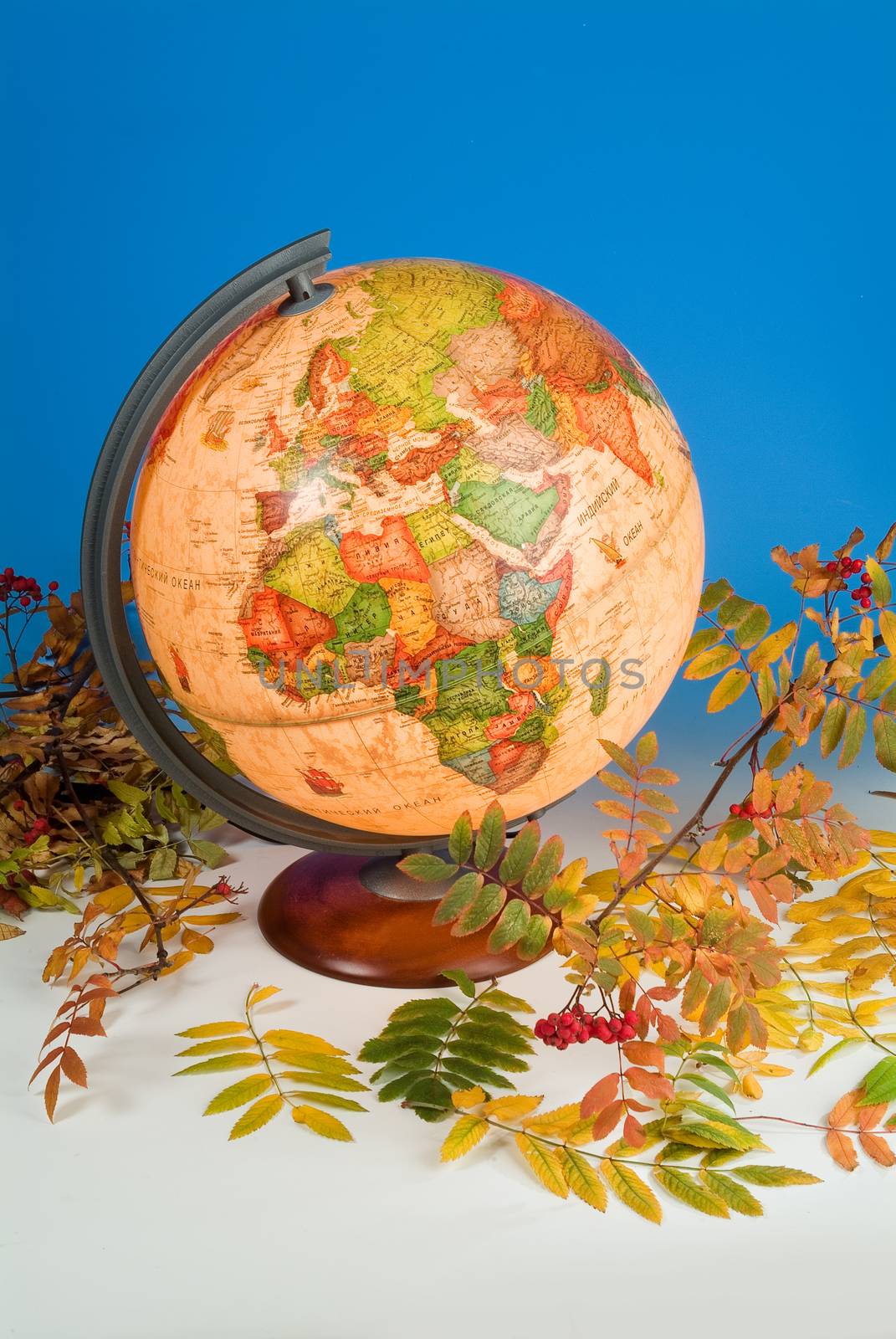 Terrestrial globe and autumn leaves on a studio background