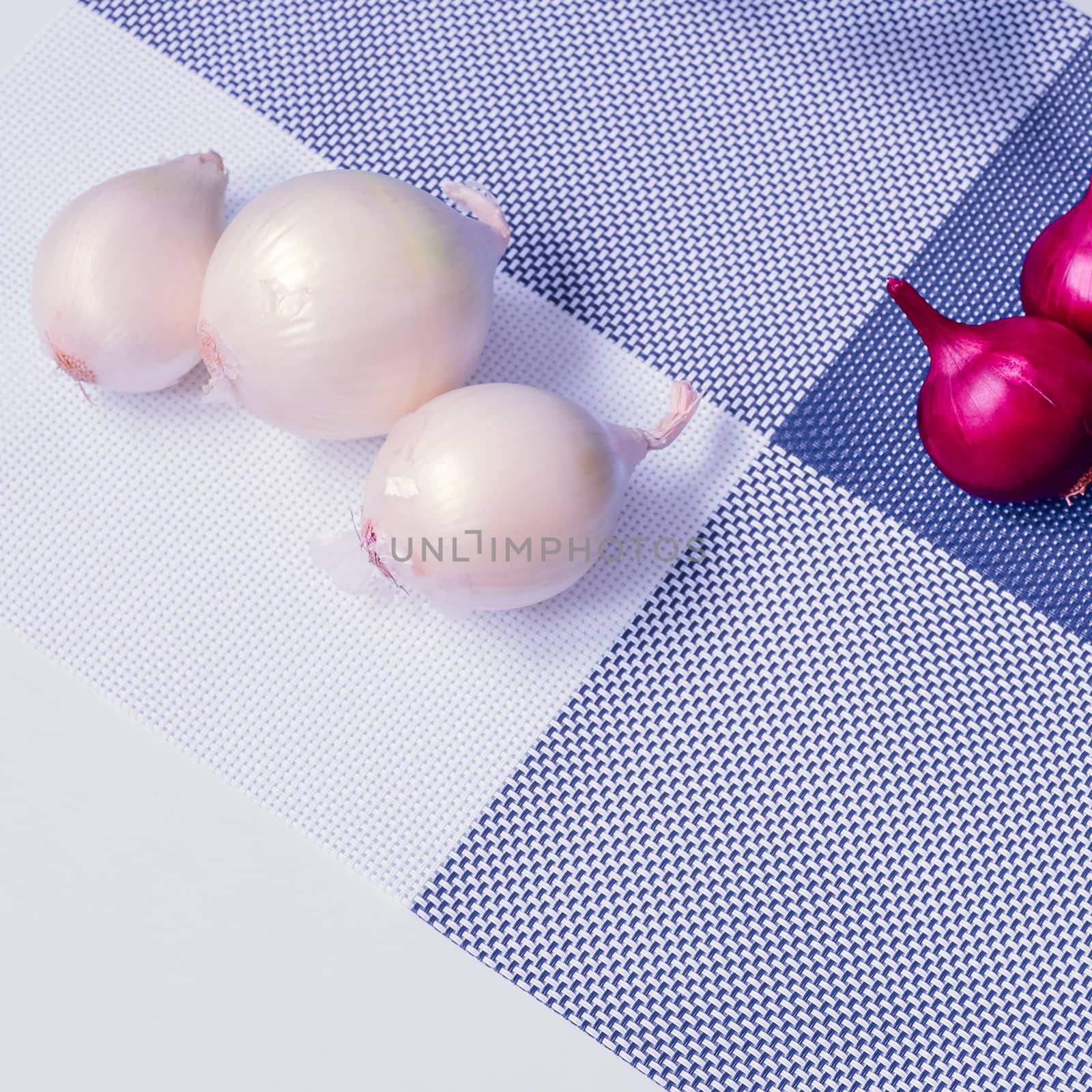 red onion and white onion on a background divided into four parts by alexandr_sorokin