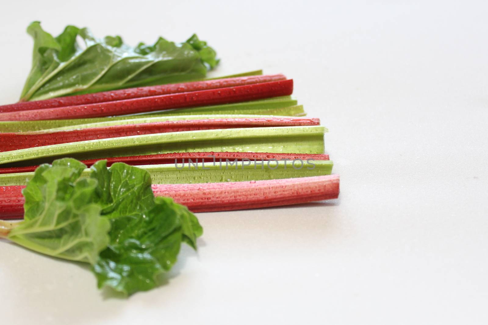 The picture shows colorful delicious rhubarb with leaves.