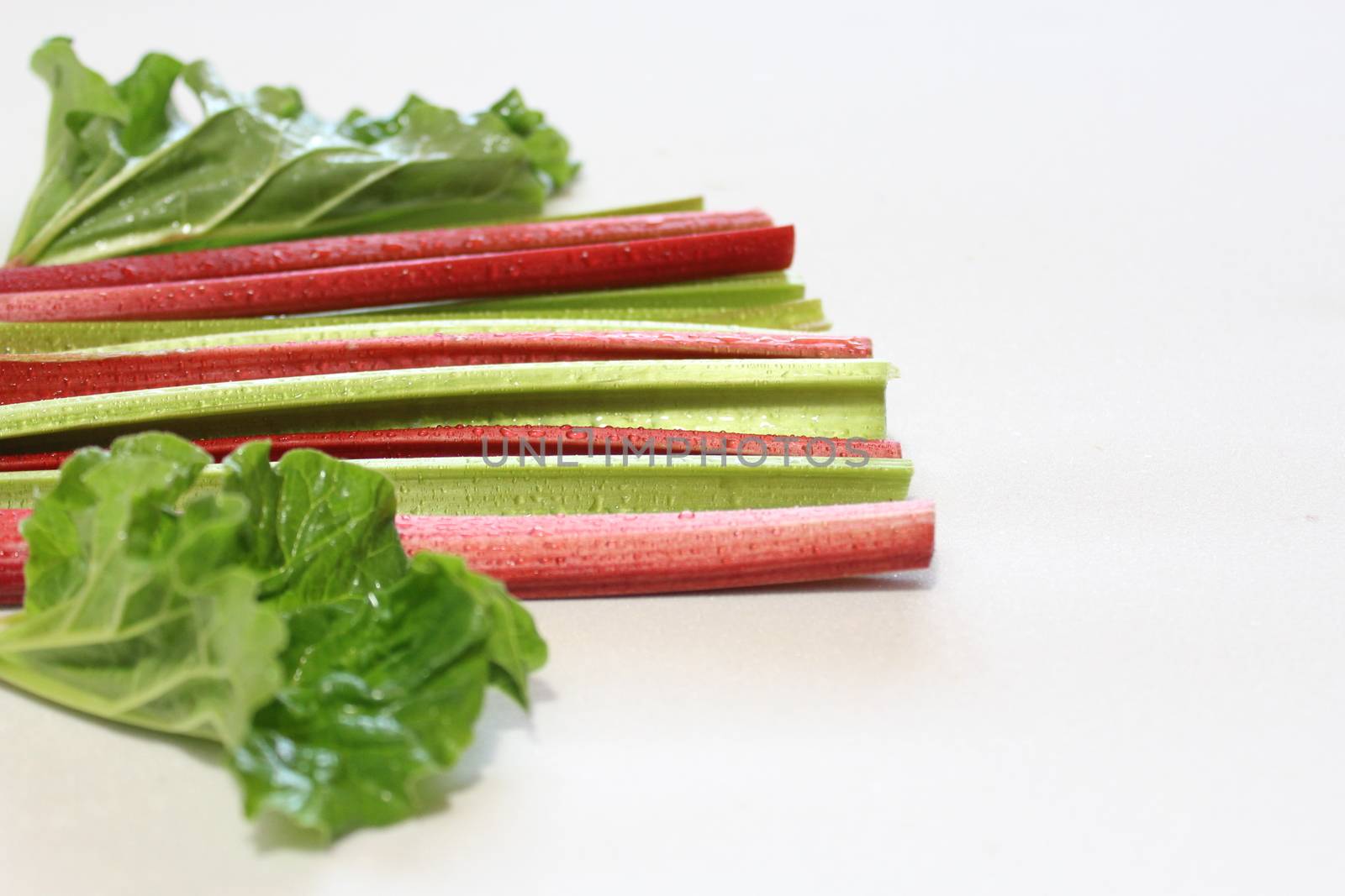 colorful delicious rhubarb with leaves by martina_unbehauen