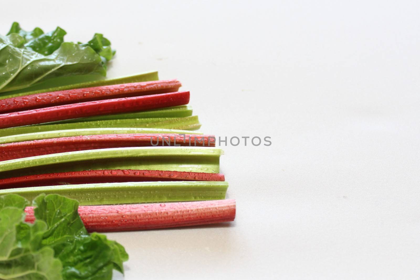The picture shows colorful delicious rhubarb with leaves.
