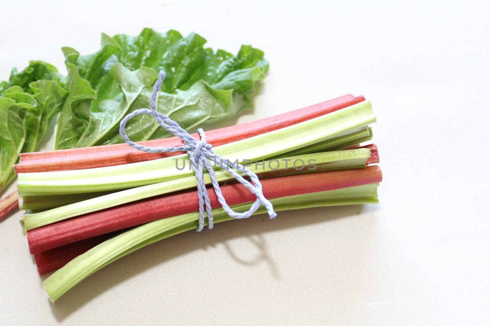 colorful delicious rhubarb with leaves by martina_unbehauen