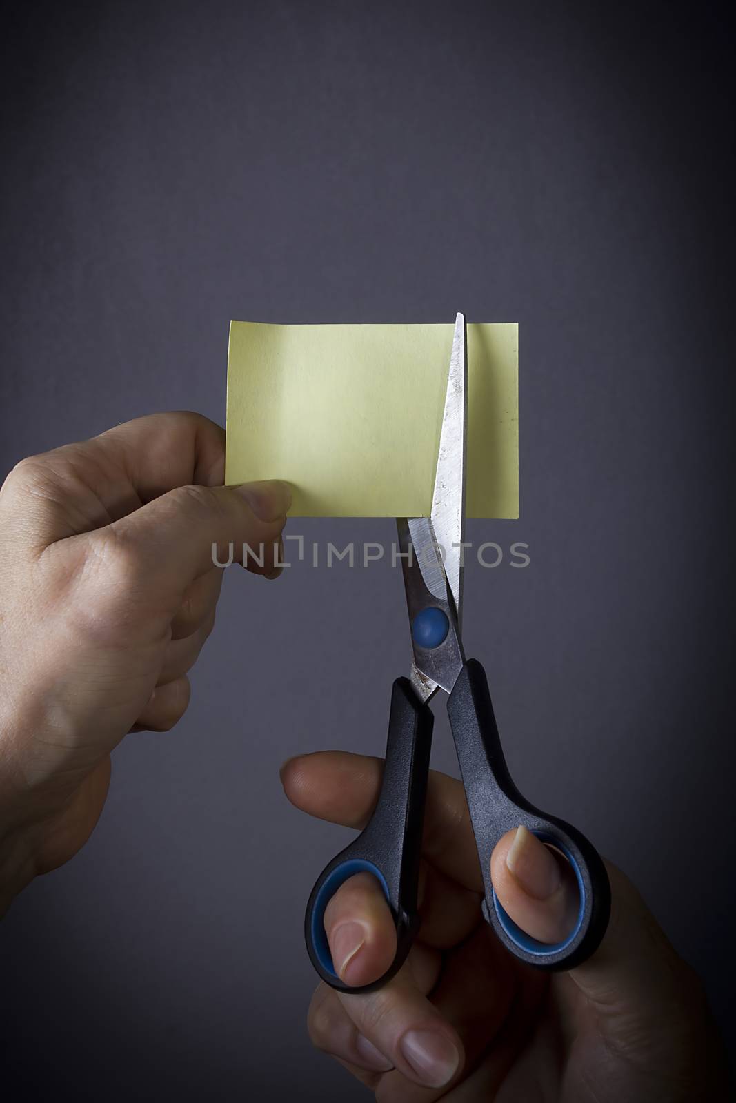 Female hands with scissors and a sheet of paper