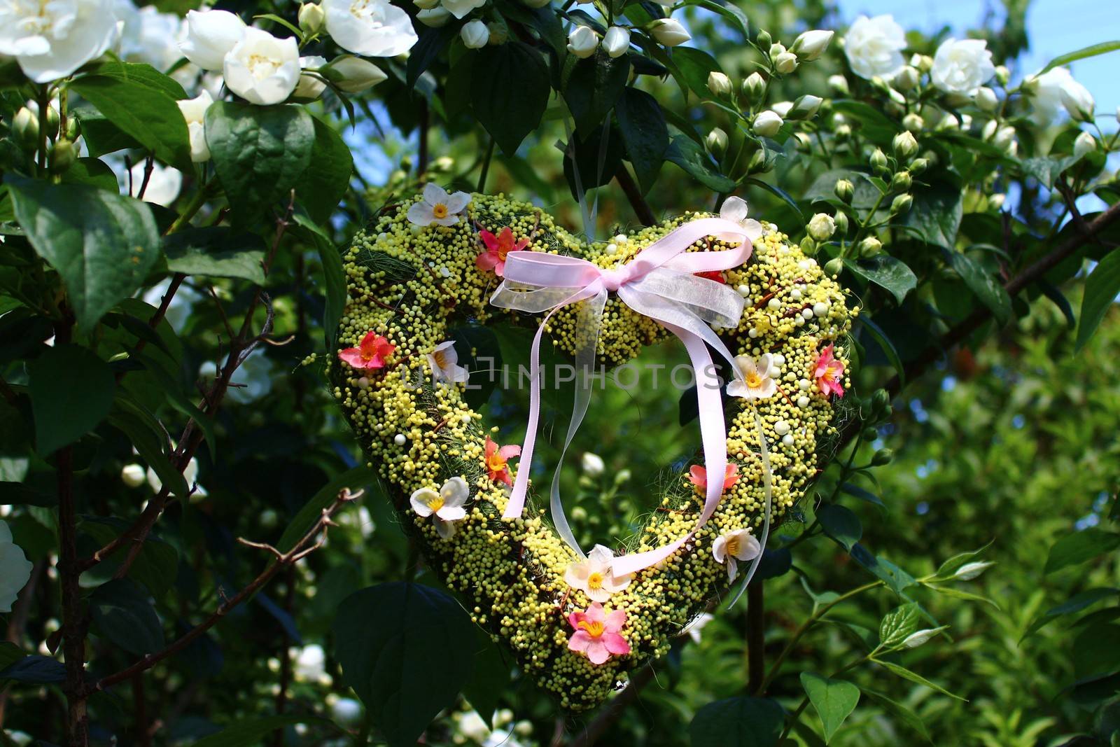 The picture shows a romantic heart in the jasmine.