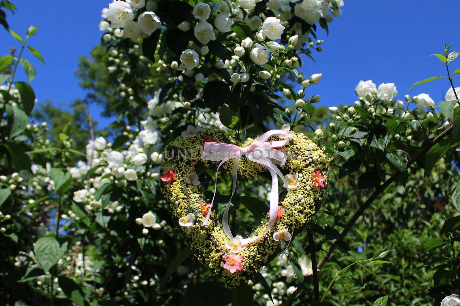 The picture shows a romantic heart in the jasmine.