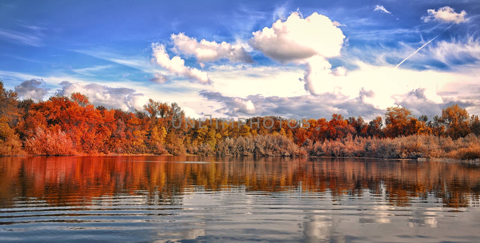 autumn park by the lake. Blue sky by marynkin