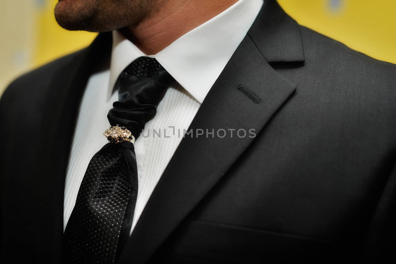 Expensive suit. Classically tie and luxury tie clip by marynkin