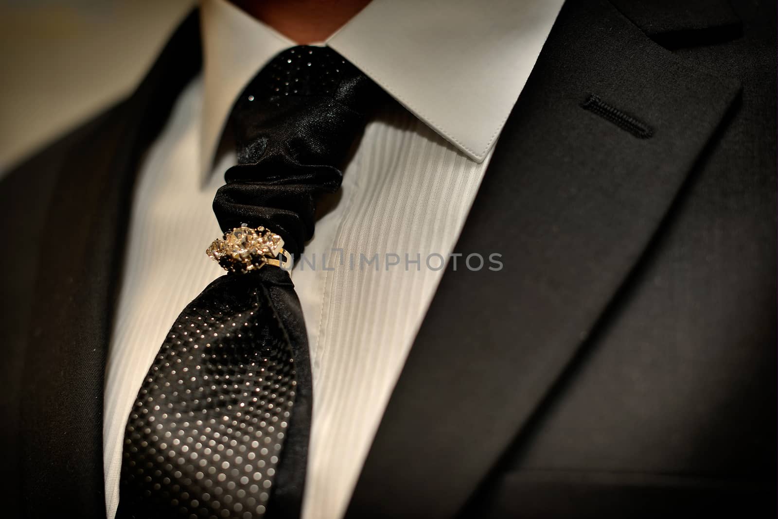 Expensive suit. Classically tie and luxury tie clip for respectable men