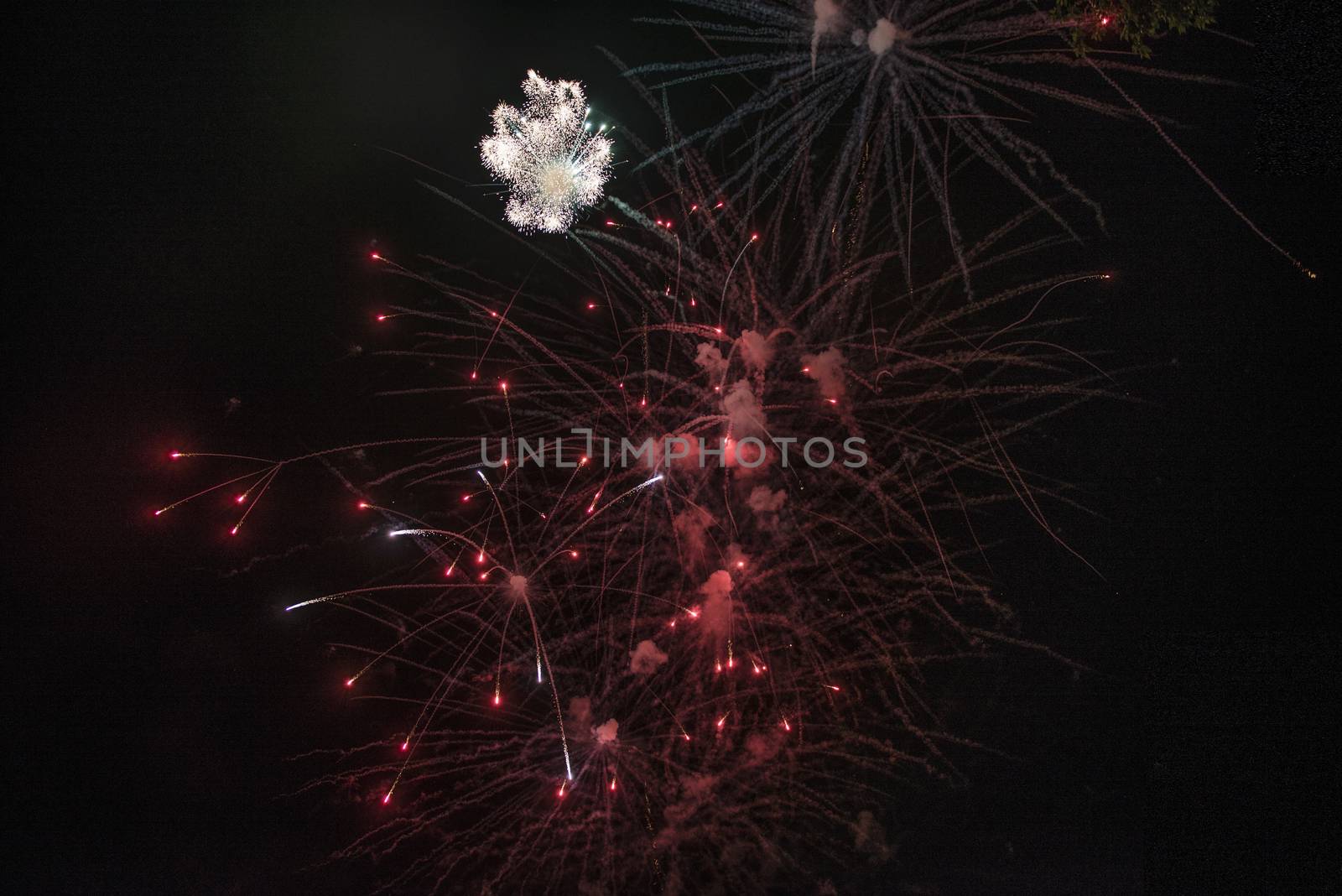 happy celebration Firework by marynkin