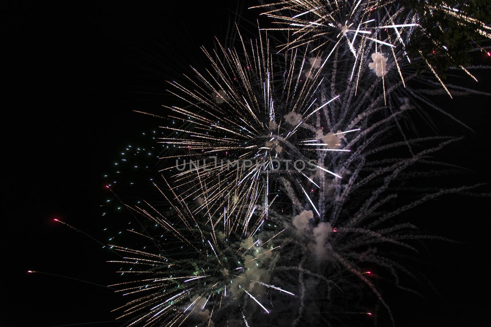 happy celebration Firework. Red light in sky