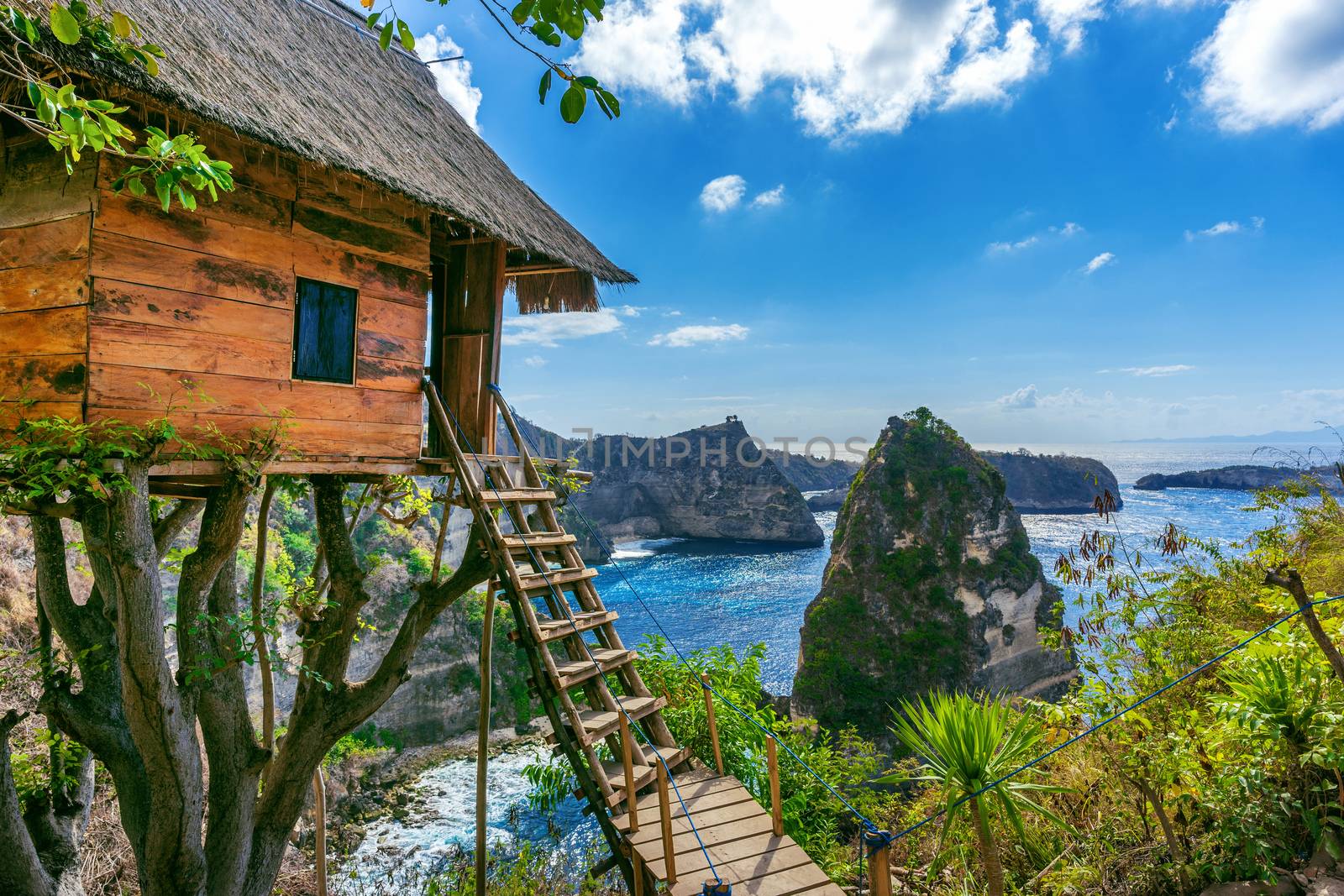 Tree house and Diamond beach in Nusa penida island, Bali in Indonesia. by gutarphotoghaphy