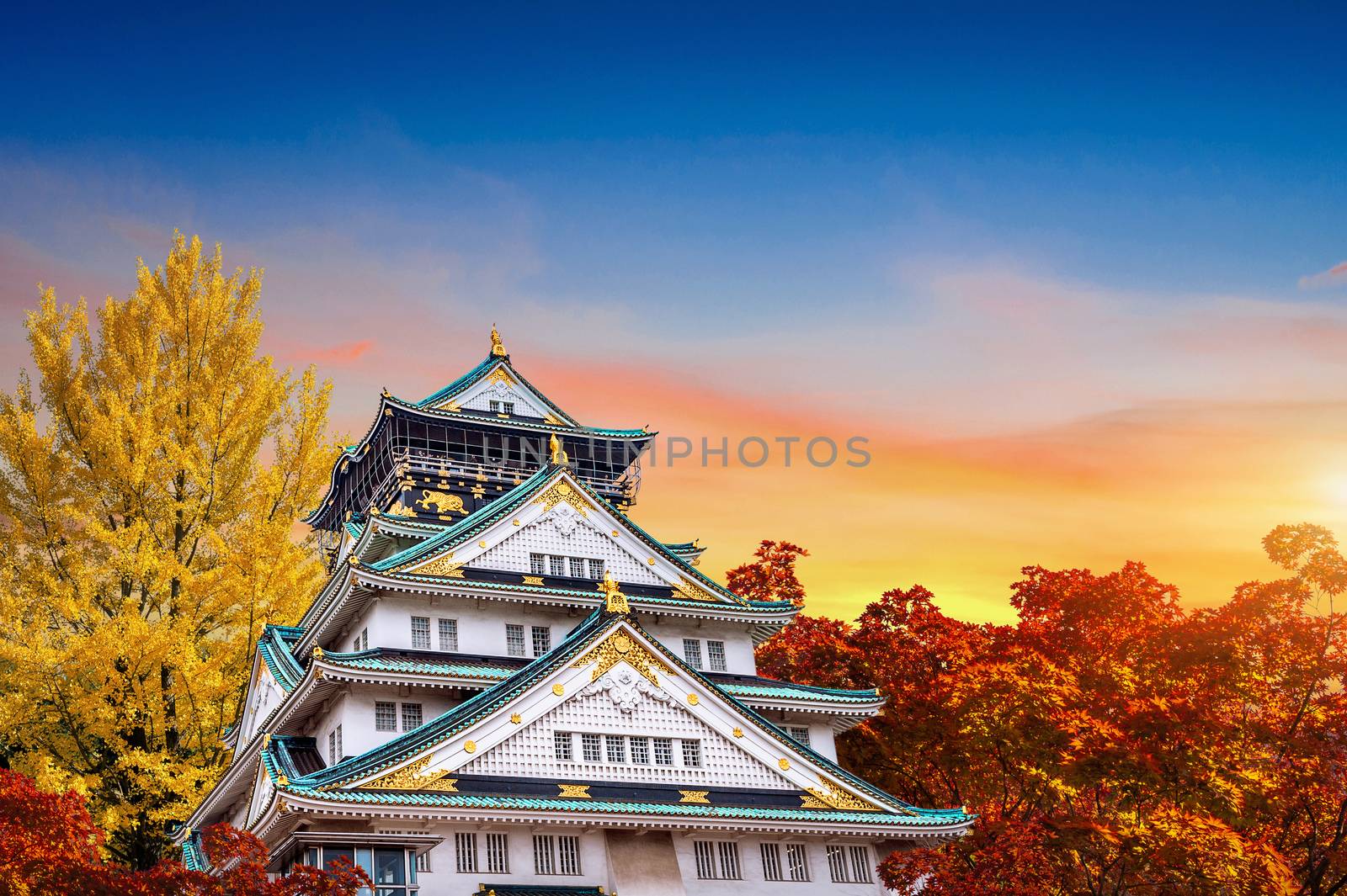 Autumn Season and castle in Osaka, Japan.