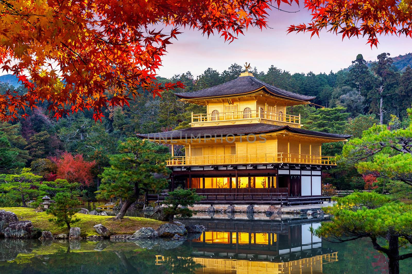 The Golden Pavilion. Kinkakuji Temple in autumn, Kyoto in Japan. by gutarphotoghaphy