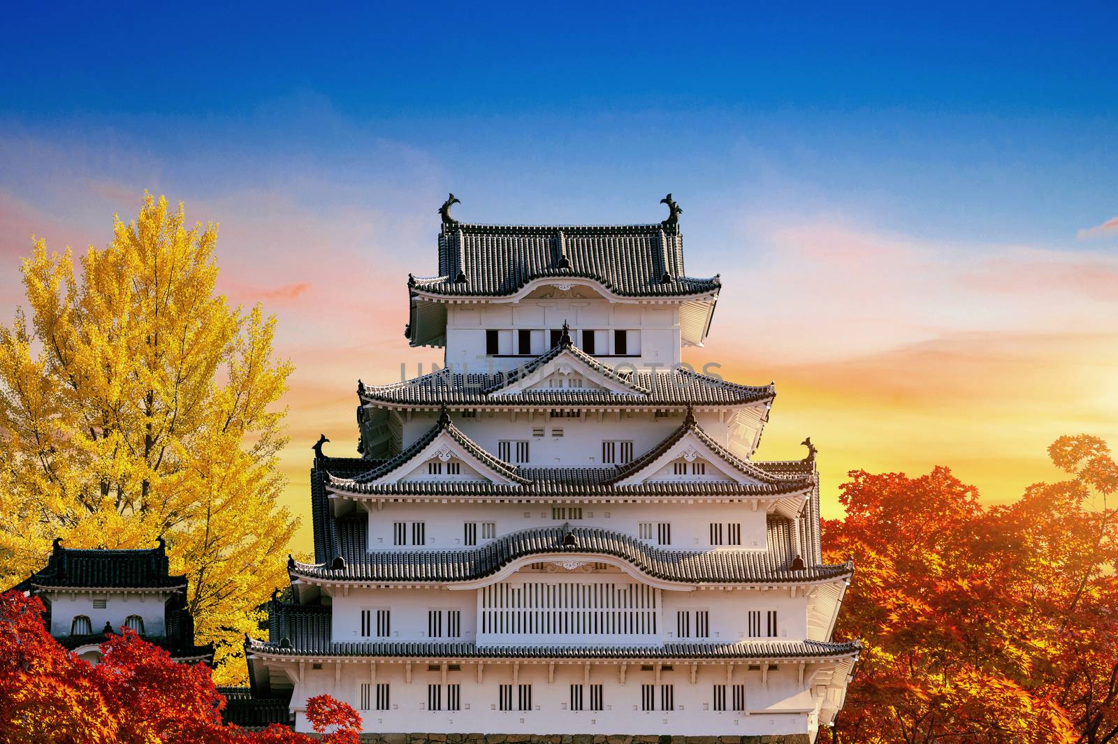Autumn Season and castle in Himeji, Japan by gutarphotoghaphy