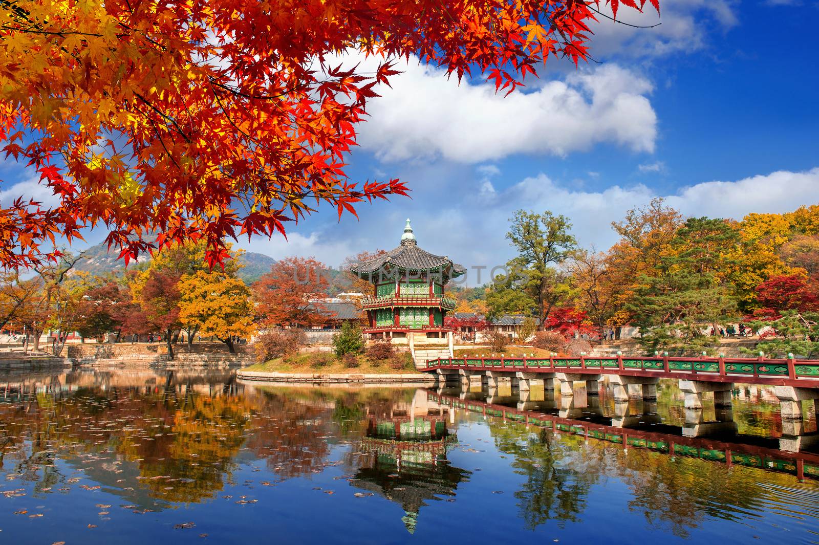 Gyeongbokgung Palace in autumn,South Korea. by gutarphotoghaphy
