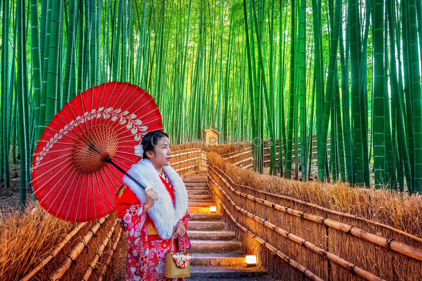 Bamboo Forest. Asian woman wearing japanese traditional kimono at Bamboo Forest in Kyoto, Japan.