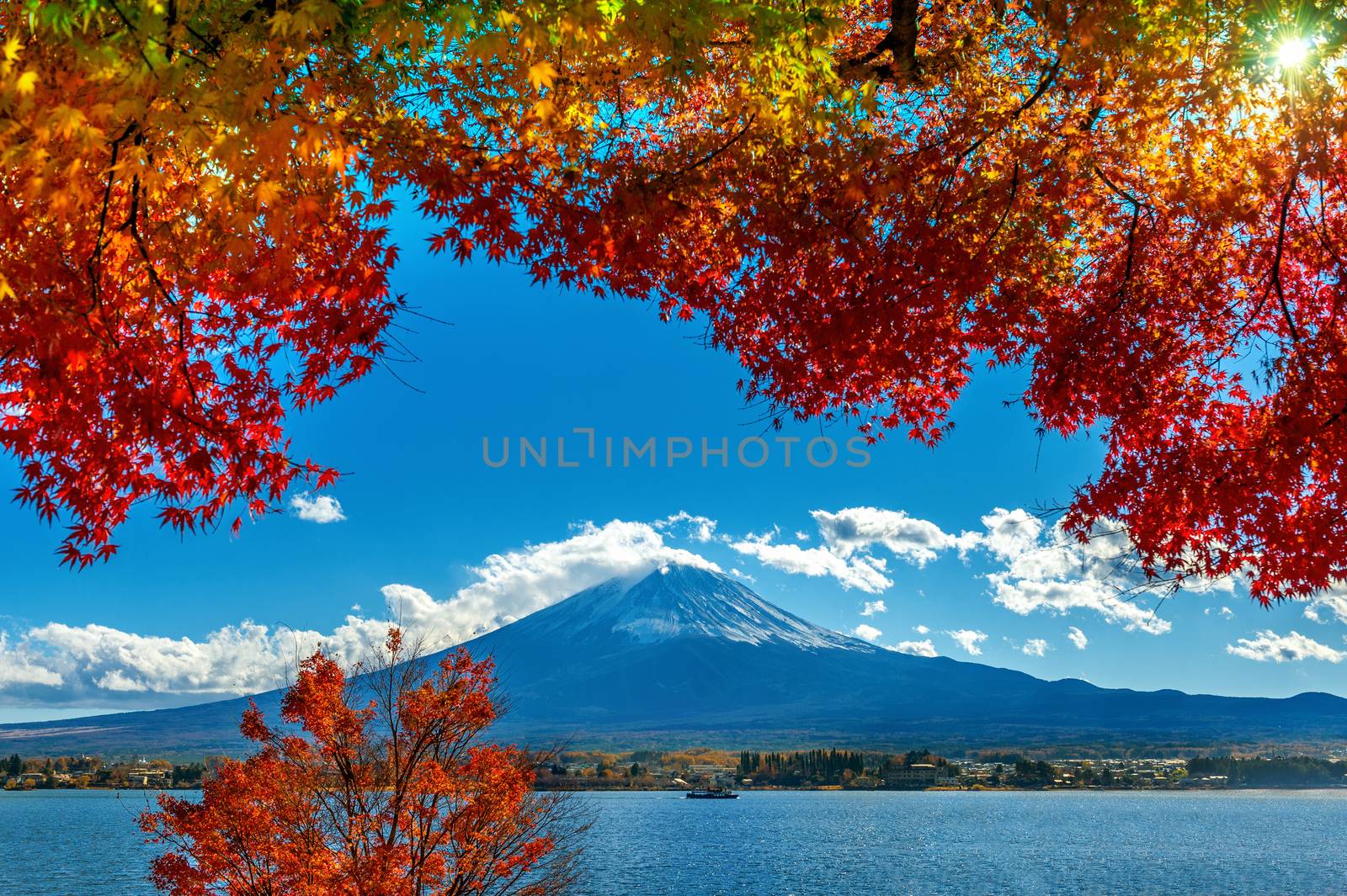 Autumn Season and Mountain Fuji at Kawaguchiko lake, Japan. by gutarphotoghaphy