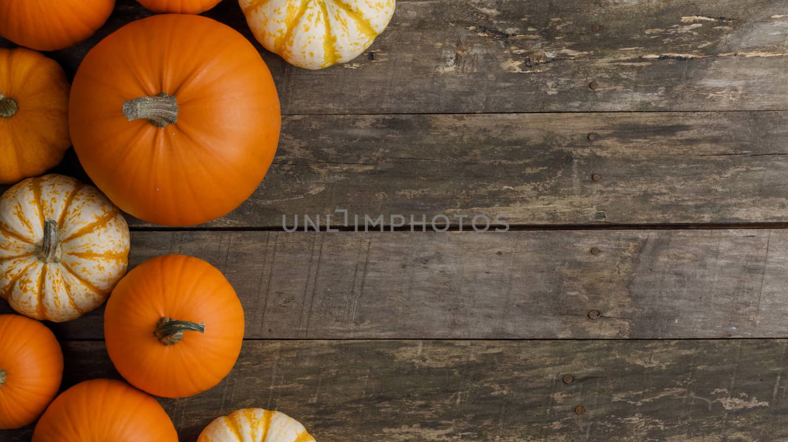 Many orange pumpkins on wooden background , Halloween concept , top view with copy space