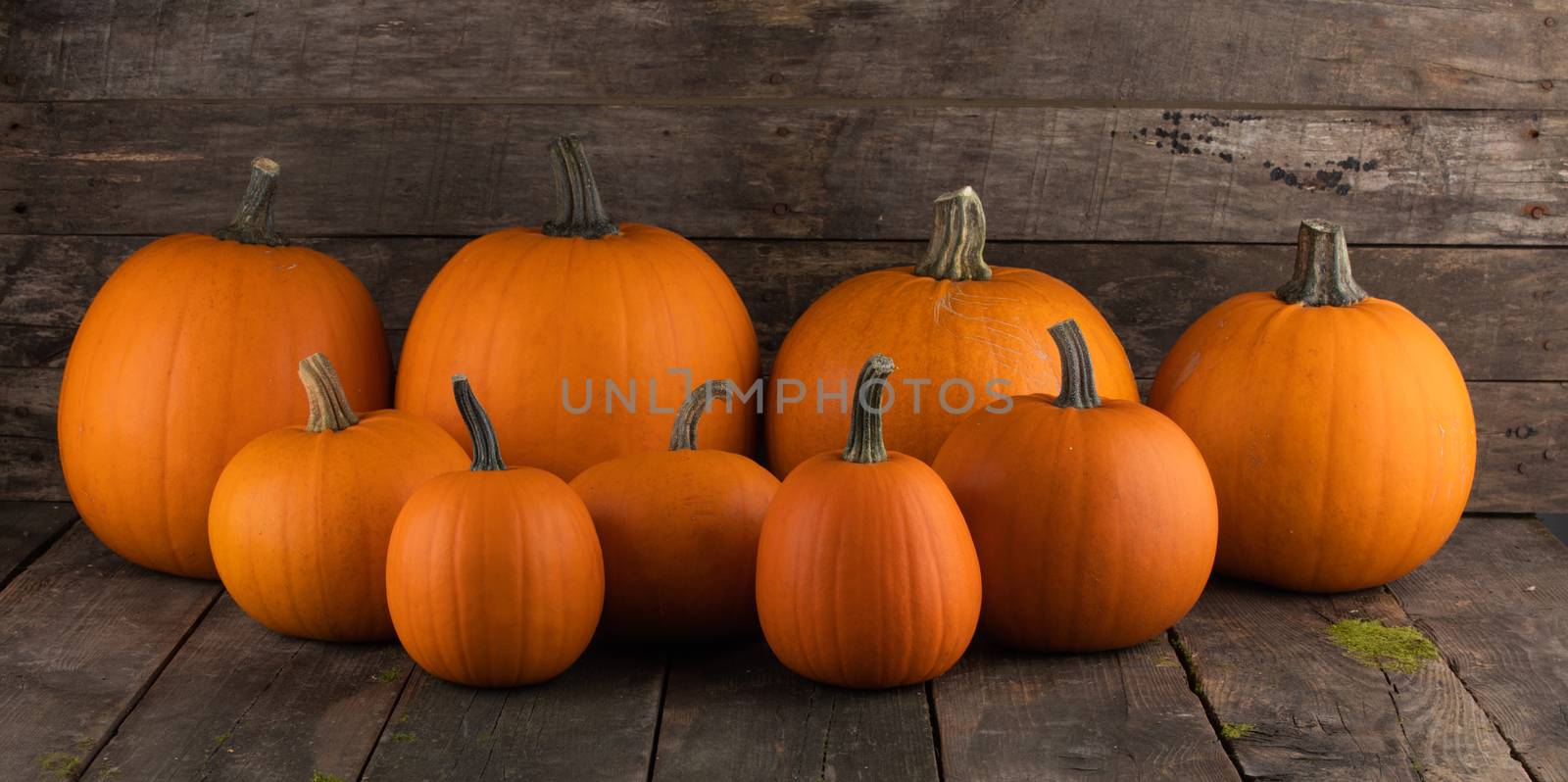 Pumpkins on old wooden background by Yellowj