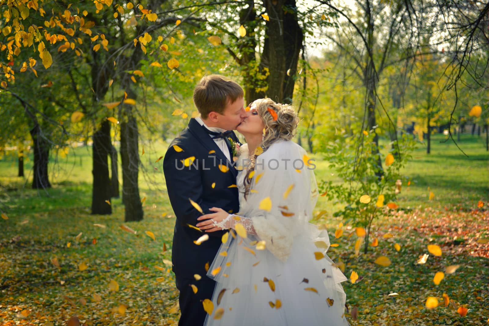 a kiss of a newly-married couple in an autumn park by marynkin