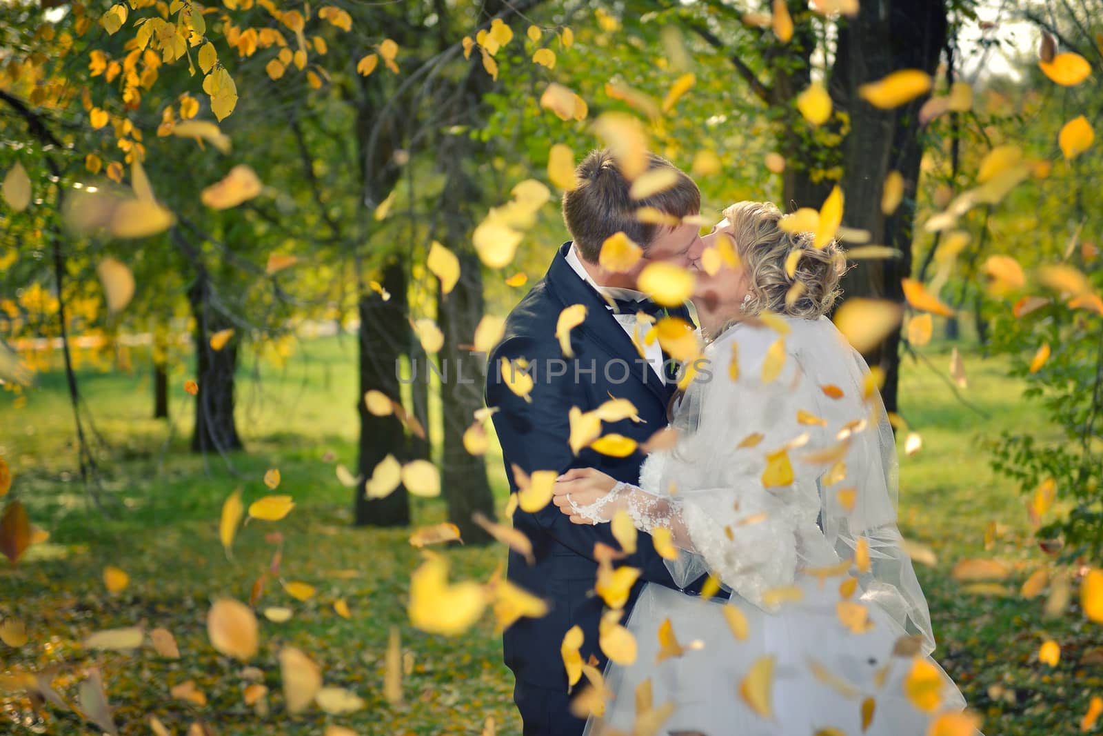 a kiss of a newly-married couple in an autumn park by marynkin