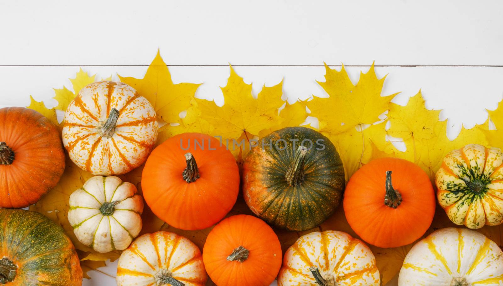 Many colorful pumpkins and maple leaves frame on wooden background , autumn harvest , Halloween or Thanksgiving concept