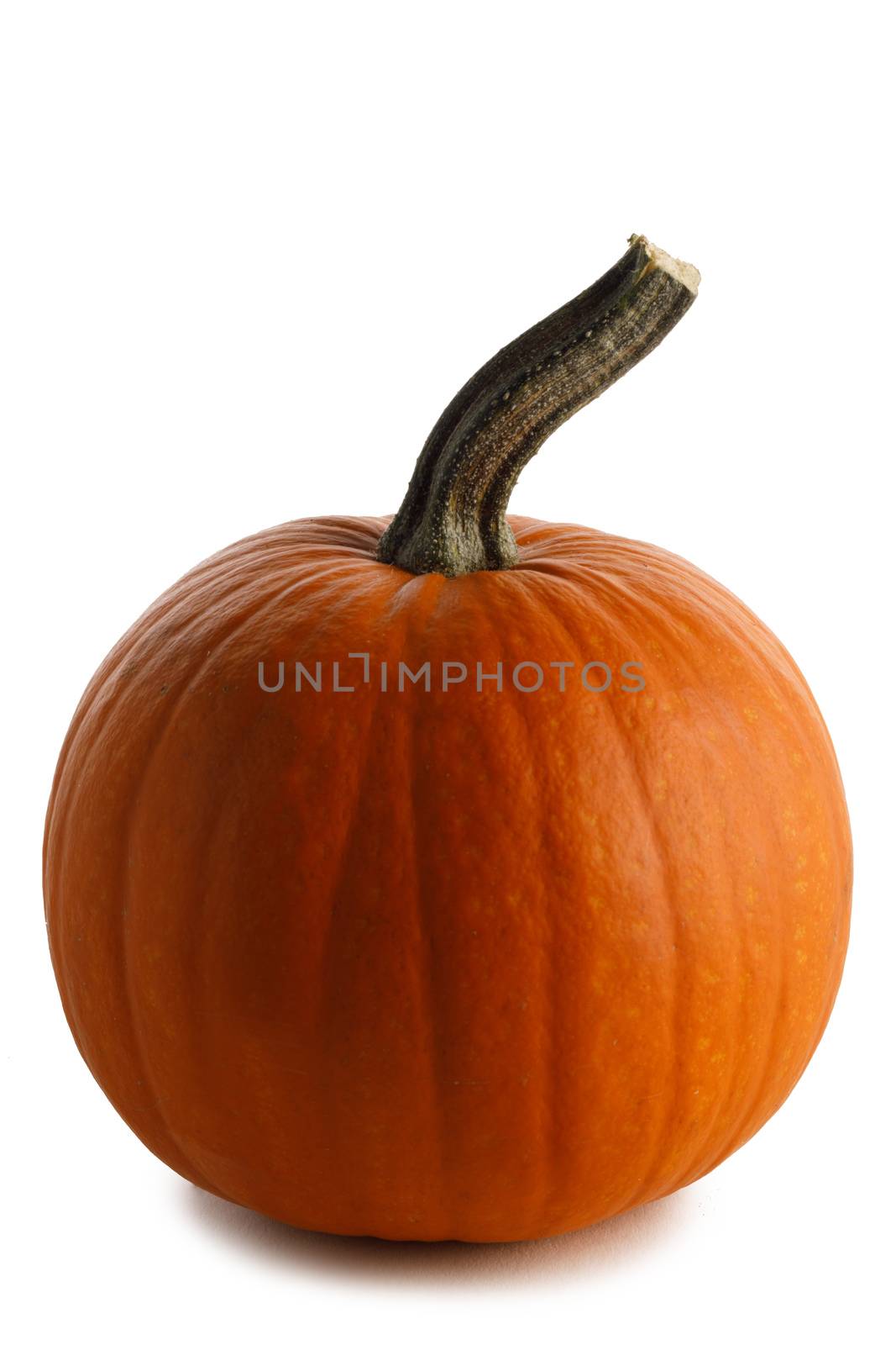 Pumpkin isolated on white by Yellowj