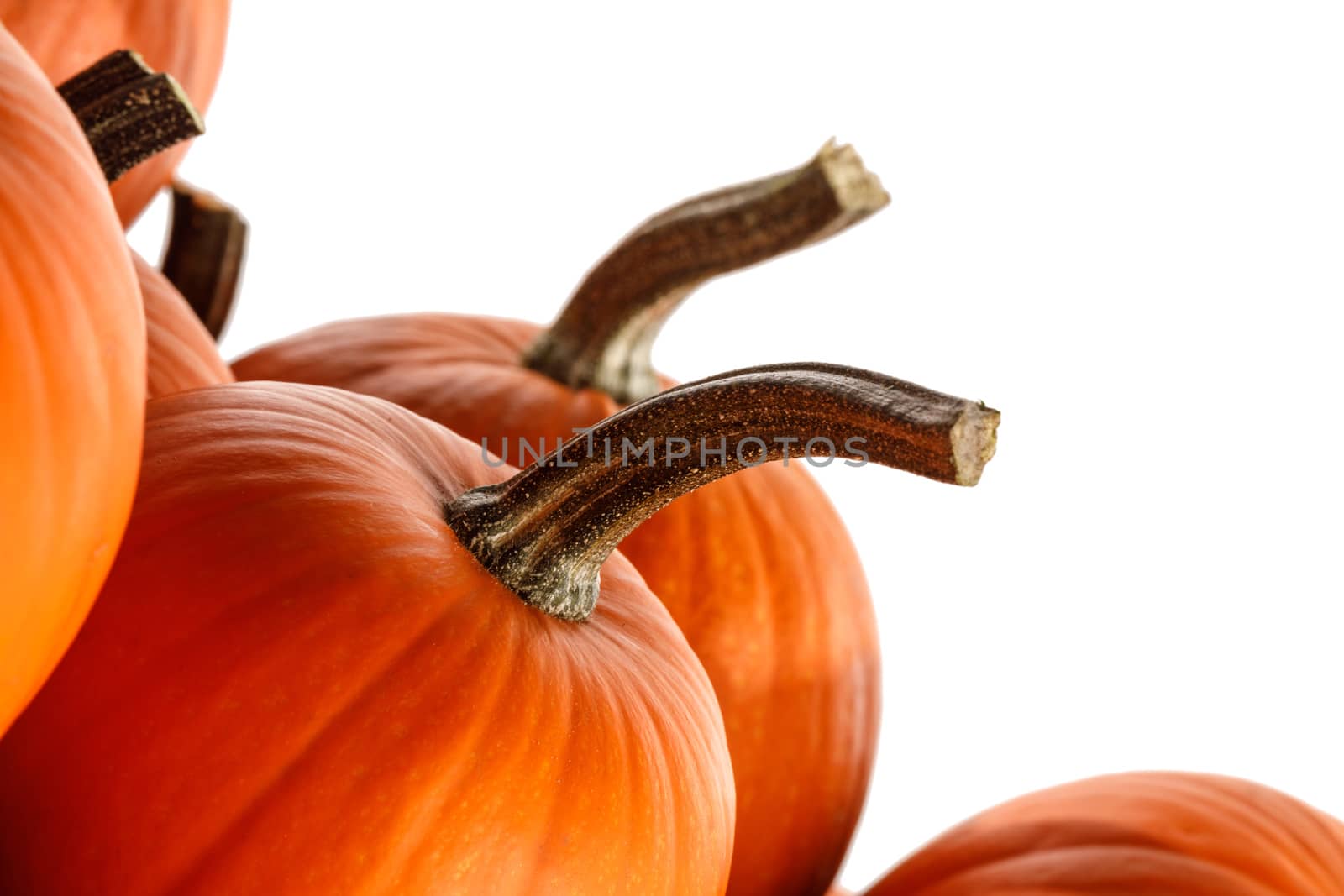 Heap of many orange pumpkins isolated on white background , Halloween concept