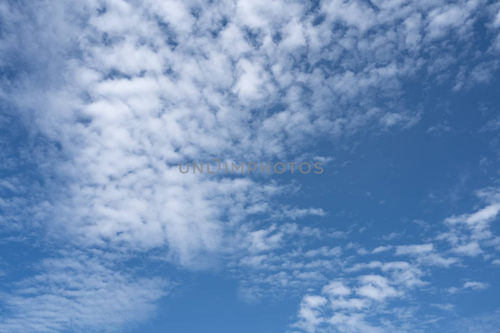 The Blue sky with cloud. Beautiful natural of sky abstract or background.