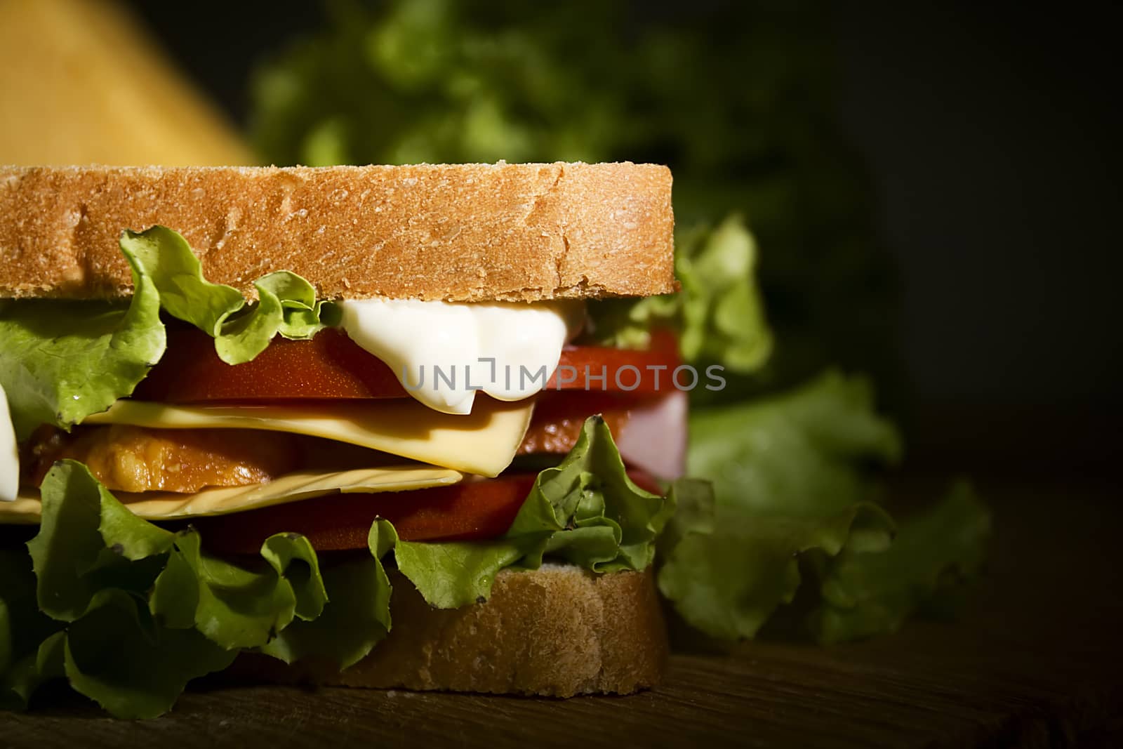 Sandwich close up by VIPDesignUSA