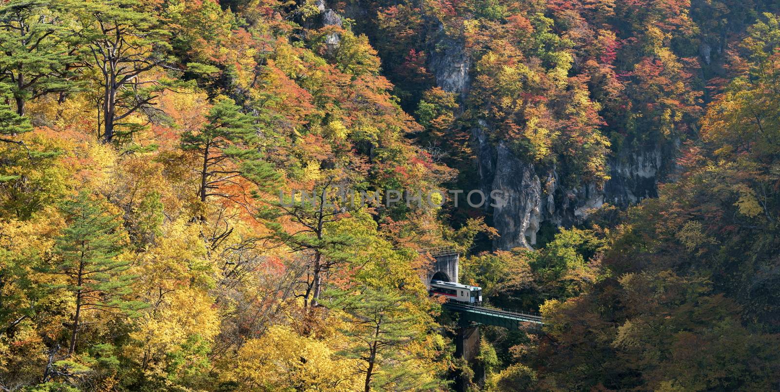 Naruko Gorge valley with train railroad tunnel in Miyagi Tohoku Japan panorama