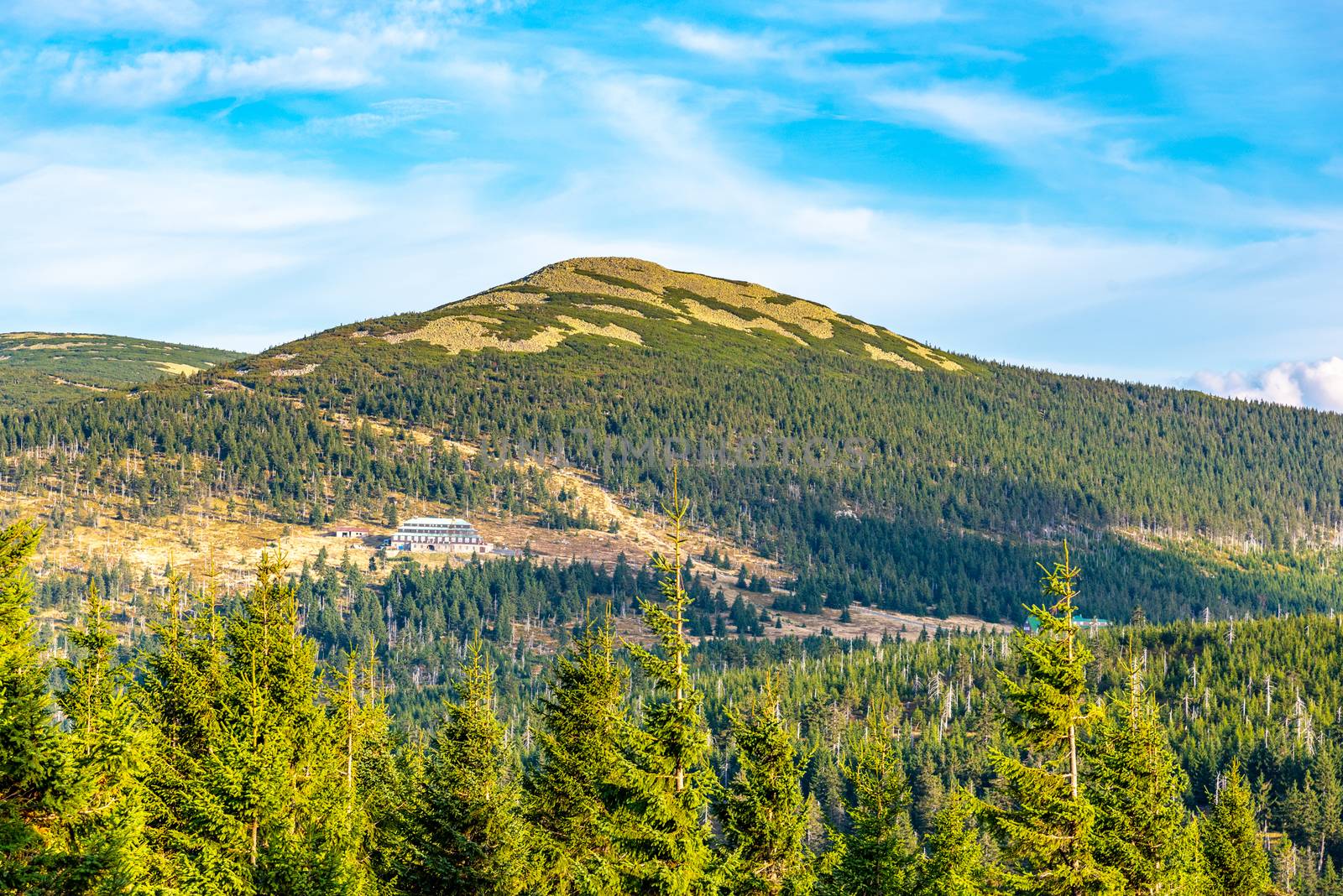 Green forest landscape with Maly Sisak Mountain and mountain huts, Giant Mountains, Krkonose, Czech Republic by pyty