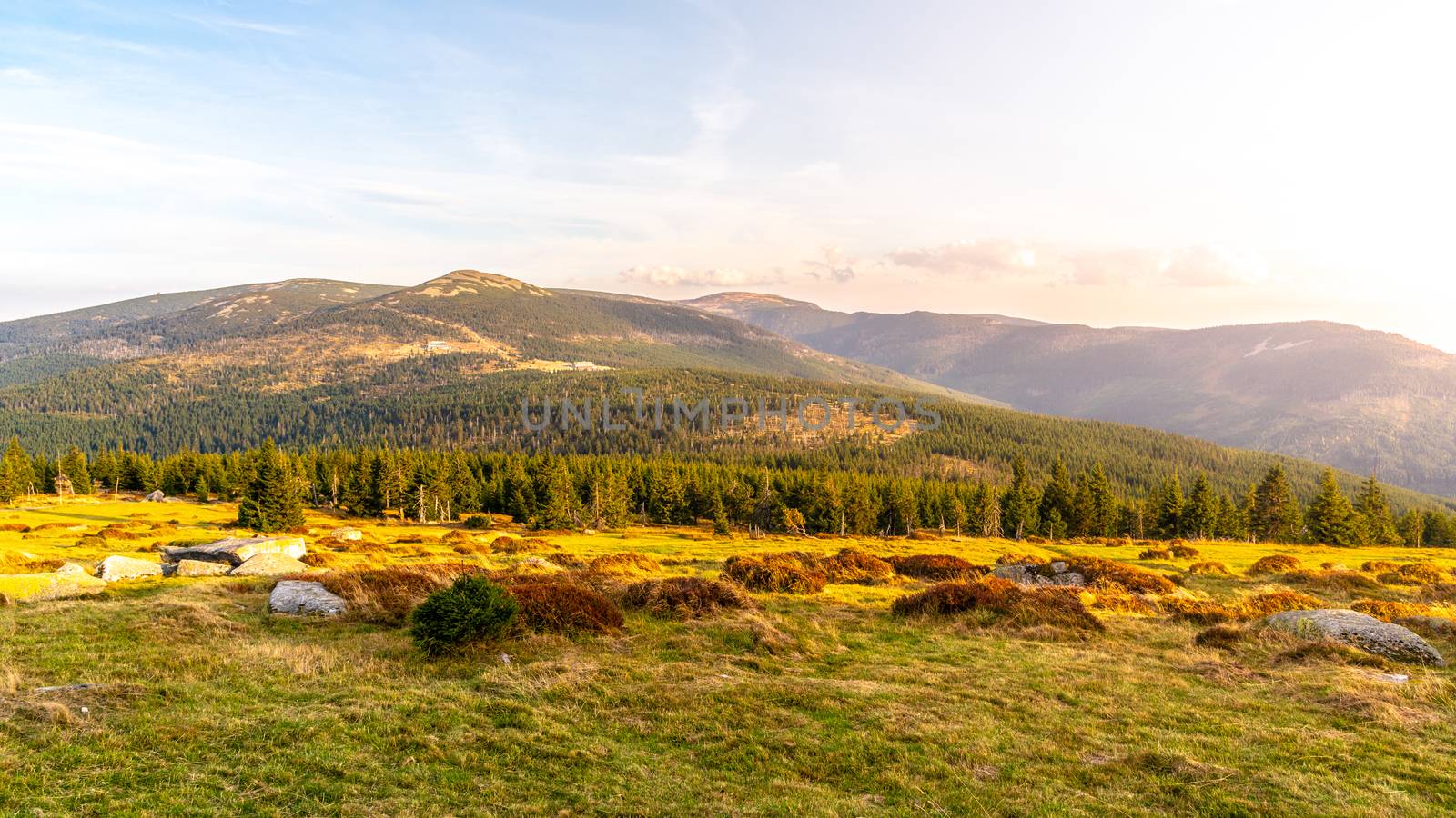 Green forest landscape with Maly Sisak Mountain and mountain huts, Giant Mountains, Krkonose, Czech Republic by pyty