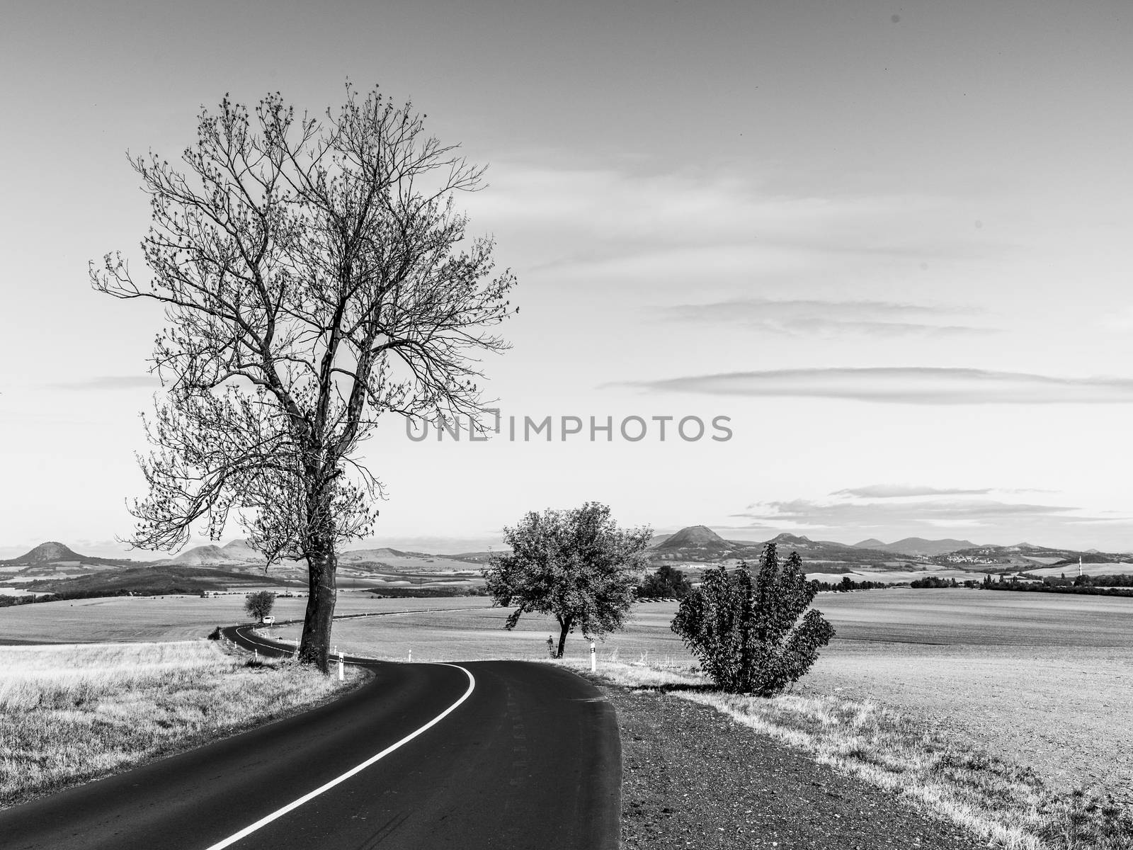 Asphalt road in barren landscape with trees on sunny autumn day by pyty