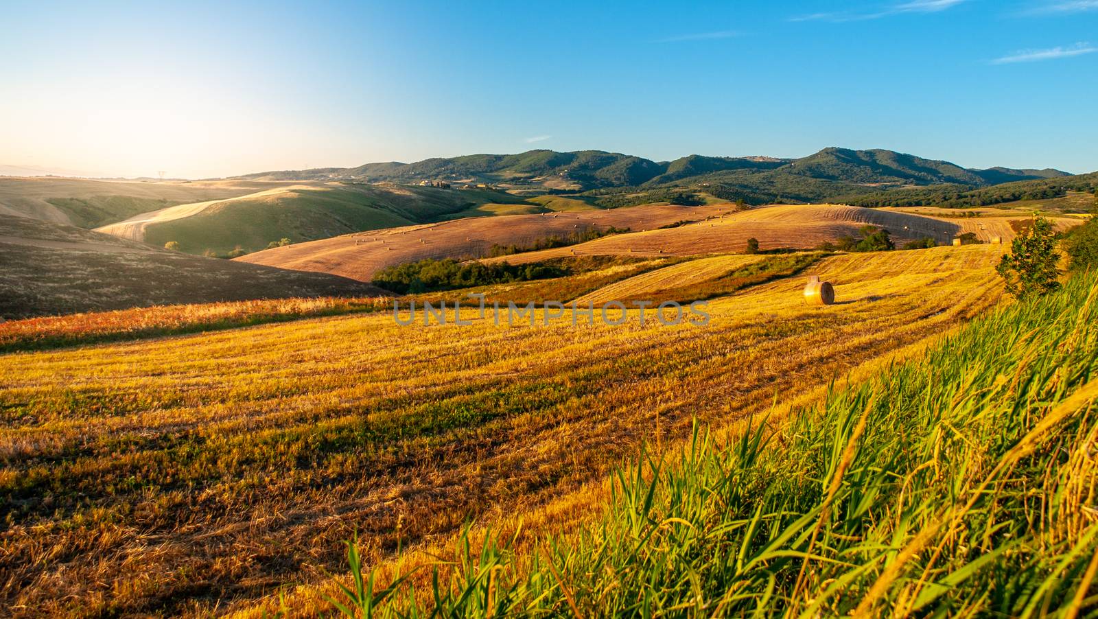 Evening in Tuscany. Hilly Tuscan landscape on sunny summer evening.