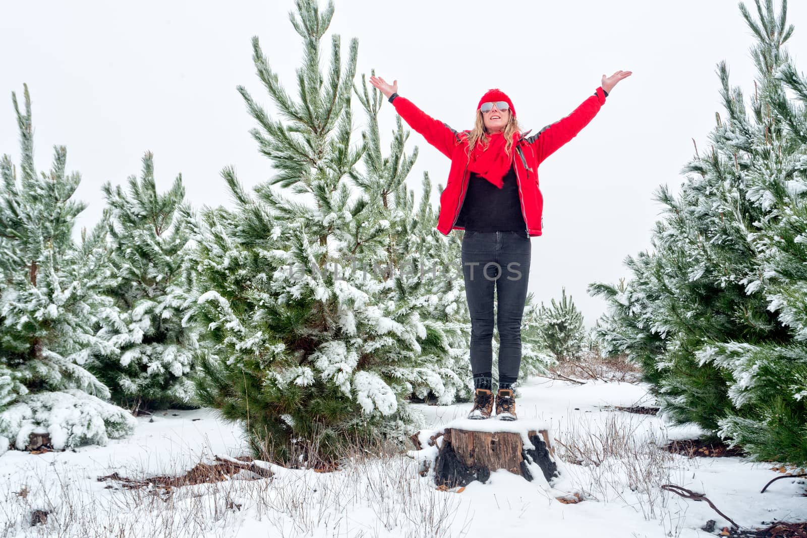 A female standiing on a felled tree stump among the snow covered pine tree forests by lovleah