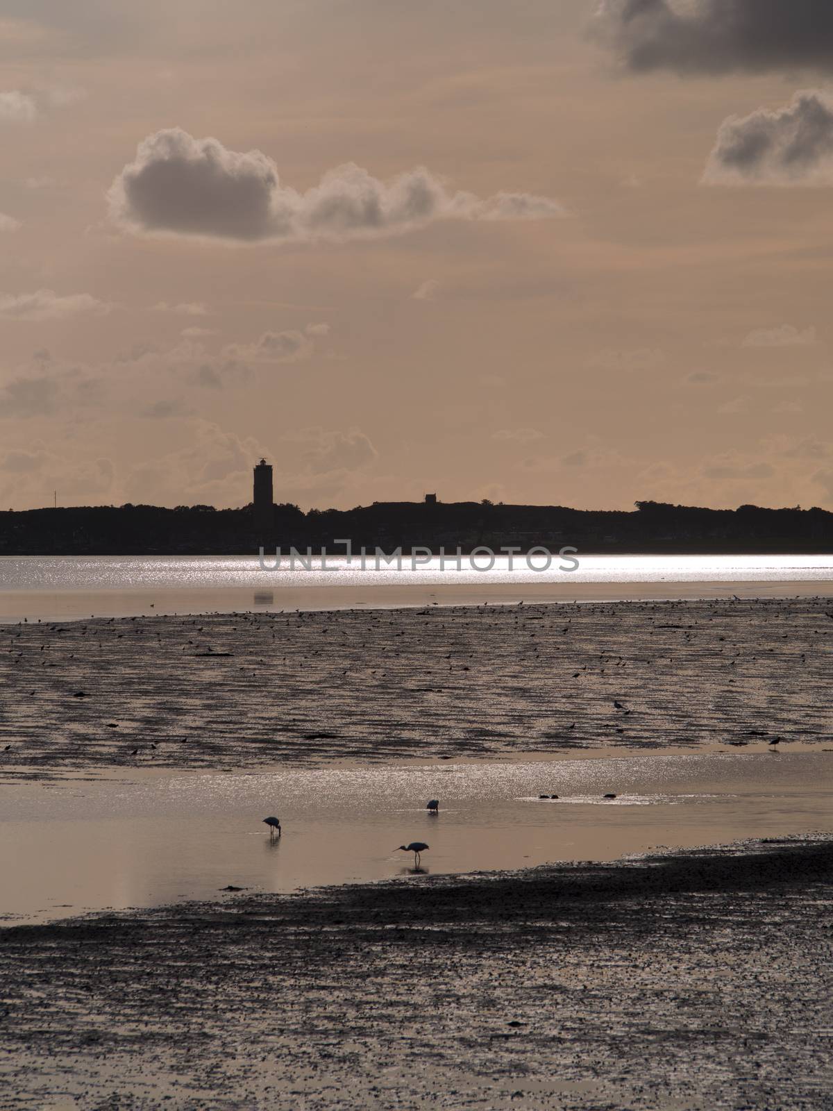 View on a tidal seascape with spoonbill birds. by douwe