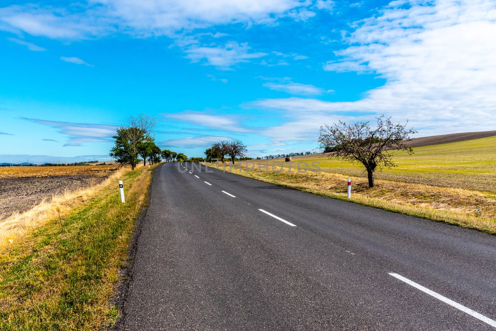 Asphalt road in barren landscape with trees on sunny autumn day.