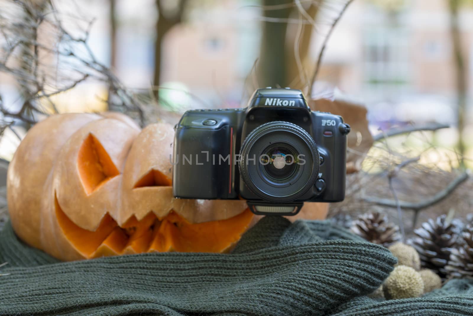 orange halloween pumpkin with carving, crushed and collapsible typology, on a background in nature or white