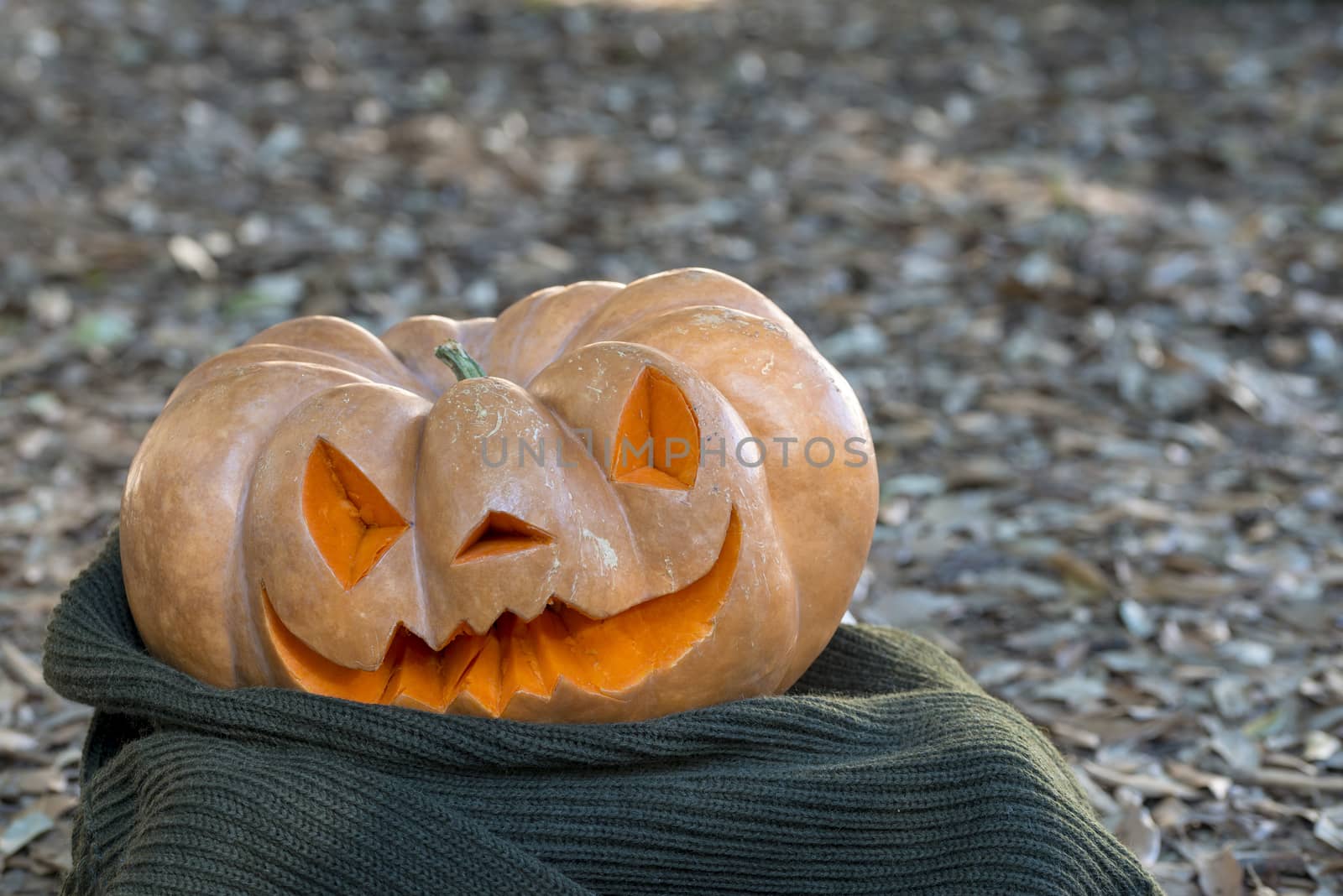 orange halloween pumpkin with carving, crushed and collapsible typology, on a background in nature or white