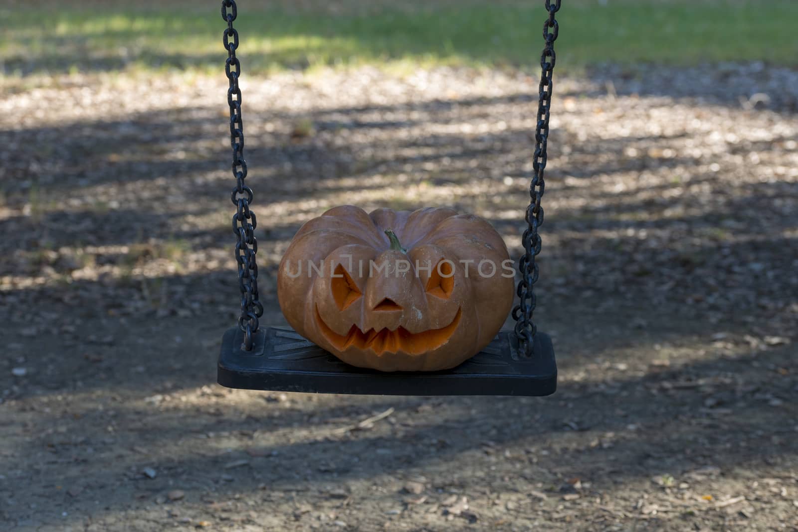 orange halloween pumpkin with carving, crushed and collapsible typology, on a background in nature or white