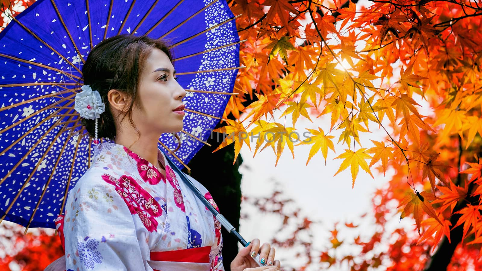 Asian woman wearing japanese traditional kimono with umbrella in autumn park. Japan by gutarphotoghaphy