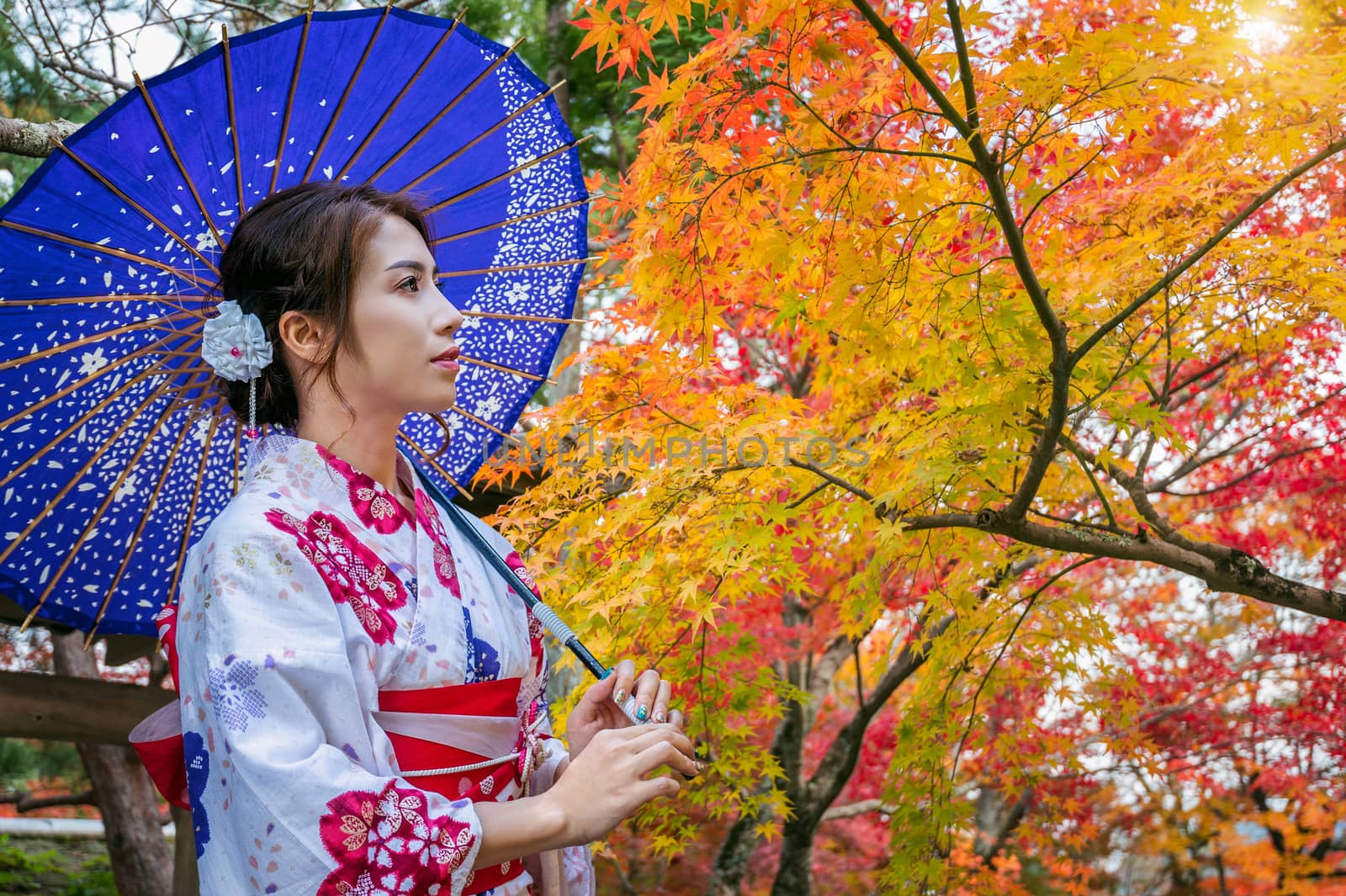 Asian woman wearing japanese traditional kimono with umbrella in autumn park. Japan