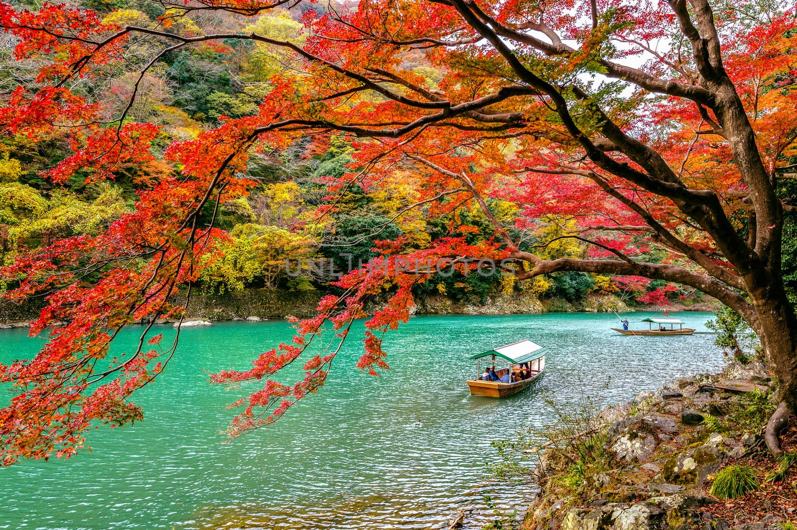 Boatman punting the boat at river. Arashiyama in autumn season along the river in Kyoto, Japan. by gutarphotoghaphy