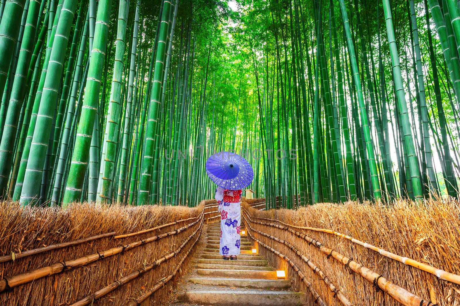 Bamboo Forest. Asian woman wearing japanese traditional kimono at Bamboo Forest in Kyoto, Japan. by gutarphotoghaphy