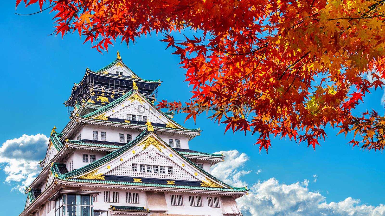 Autumn Season and Osaka castle in Japan.